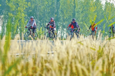 【要闻】河南省提速沿黄生态廊道建设