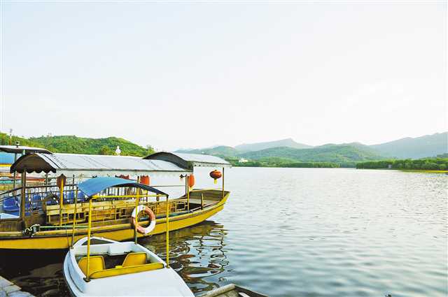 【要聞】 西部(重慶)科學城闊步前行