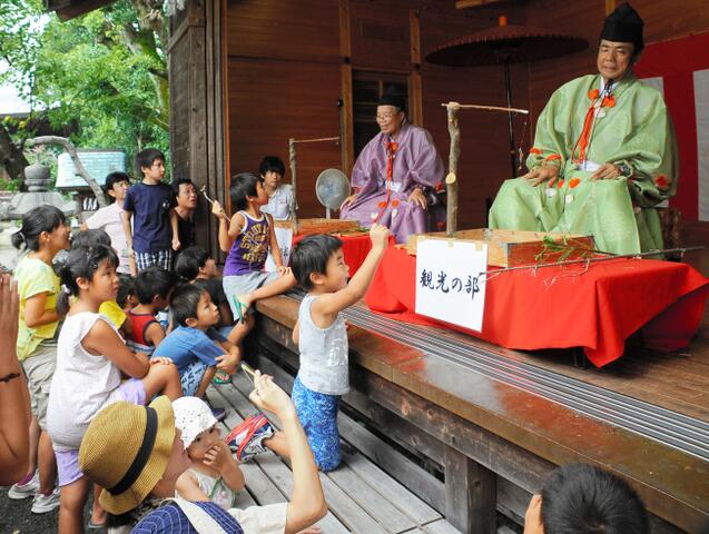 日本高知县举办"蜘蛛相扑大赛" 小朋友们自带蜘蛛参赛(组图)