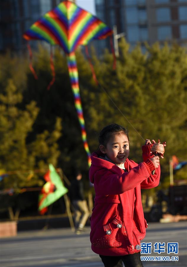 宁夏银川：忙趁春风放纸鸢