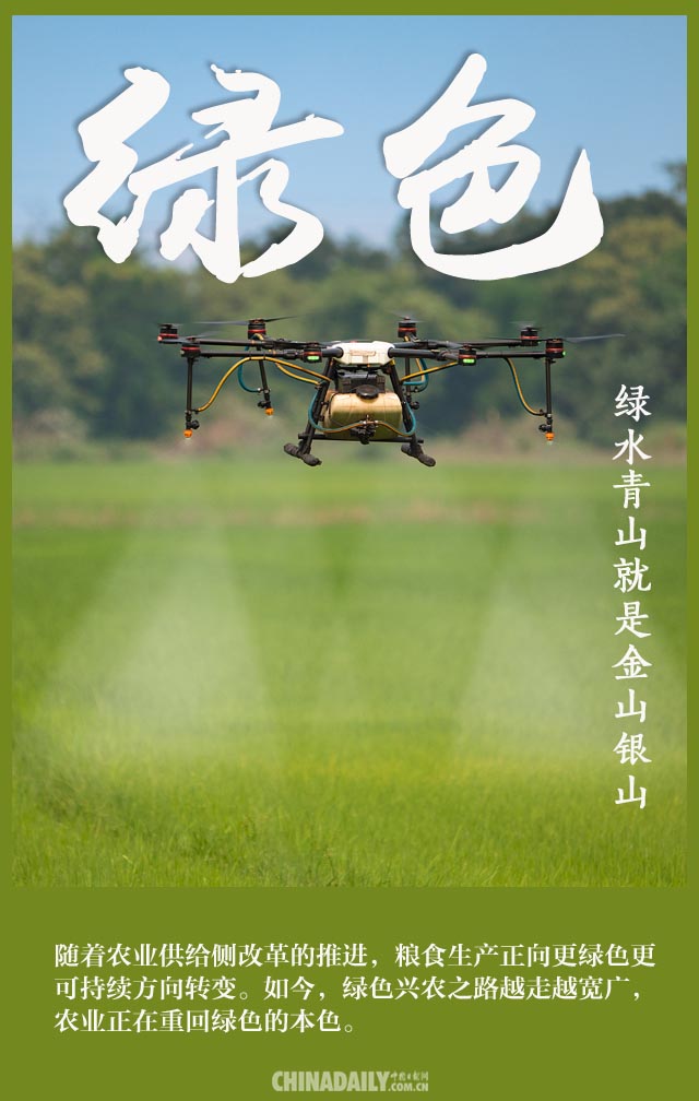 【海报】致敬农民：稻花香里说丰年