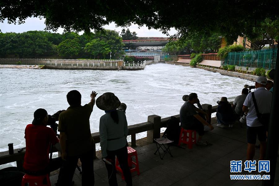 高顏值的生態花園之城——廈門生態建設觀察