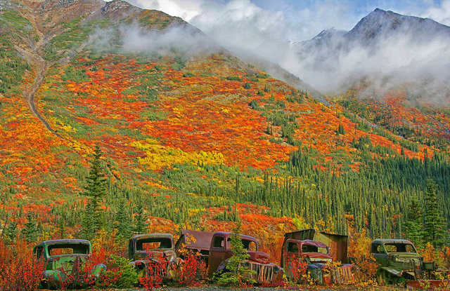 加拿大廢棄卡車銹色五彩斑斕 融入自然美景