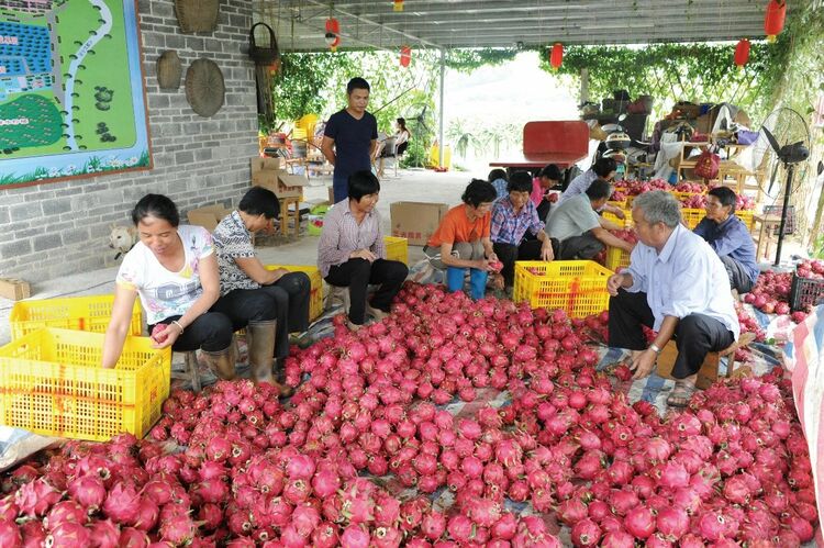 【B】广西兴业：162个农村电商服务站助力脱贫攻坚