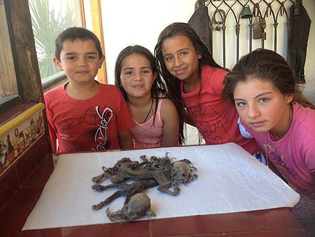 智利農民發現疑似"吸血怪物"殘骸