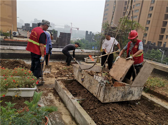 （B 教育图文 三吴大地南京 移动版）南京市下庙社区：清理楼顶种菜 共建文明环境