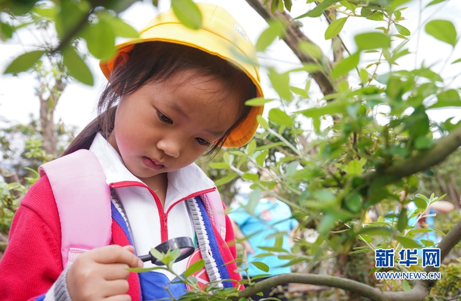 福建漳平：花木産業助農增收