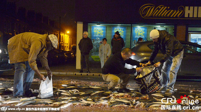北愛爾蘭運魚車發生泄漏 民眾塑膠袋“撿漏”