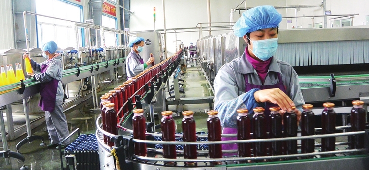 “浆果之王”放异彩——吉林省白山市大力发展蓝莓产业纪实