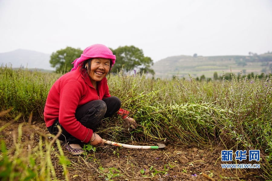 千里帮扶，写在高原上的“脱贫答卷”