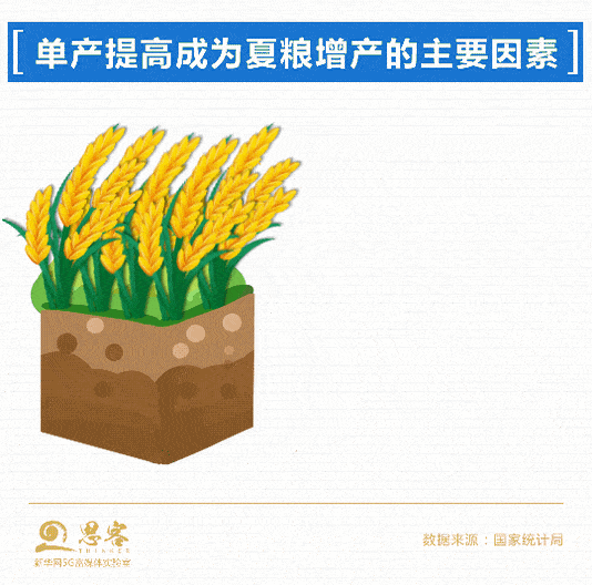 特殊之年，夏粮十七连丰、秋粮丰收在望……背后什么在起作用？