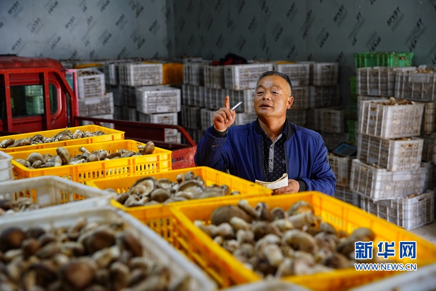 千里帮扶，写在高原上的“脱贫答卷”