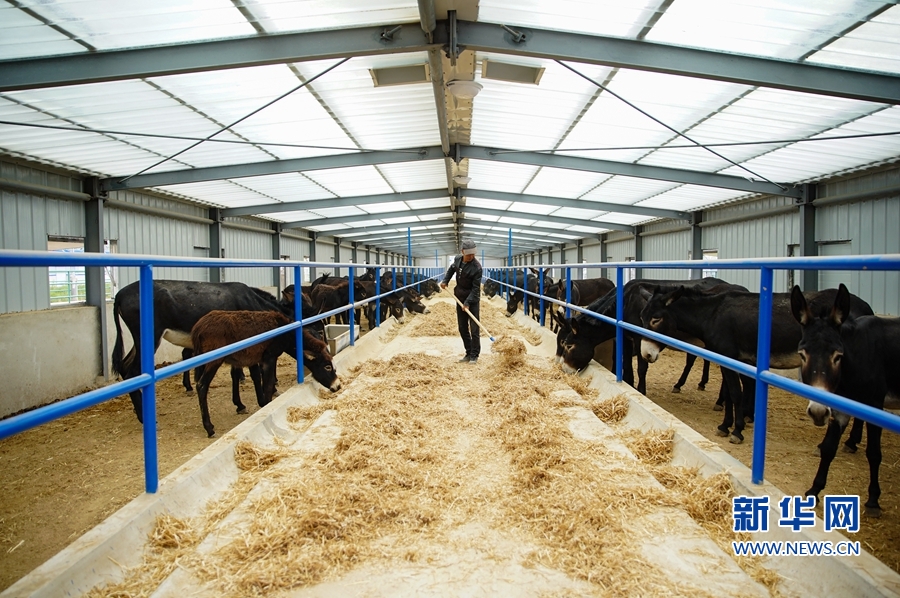 千里帮扶，写在高原上的“脱贫答卷”