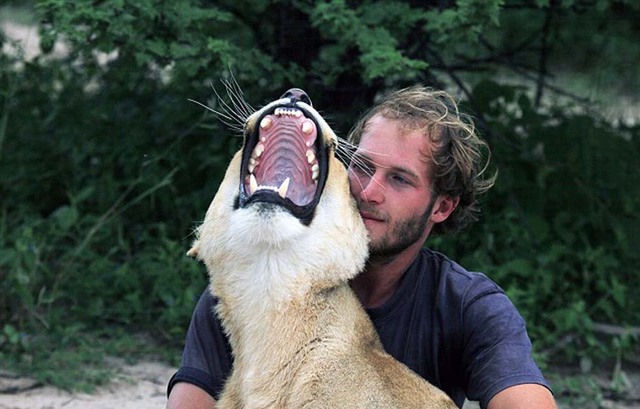 人獅情未了 德國男子收養猛獅教其捕獵