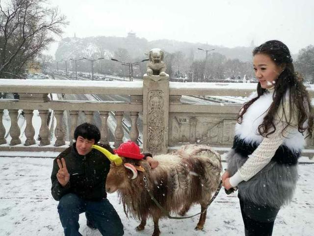 美女街頭雪中遛羊 網友讚姑娘這麼任性