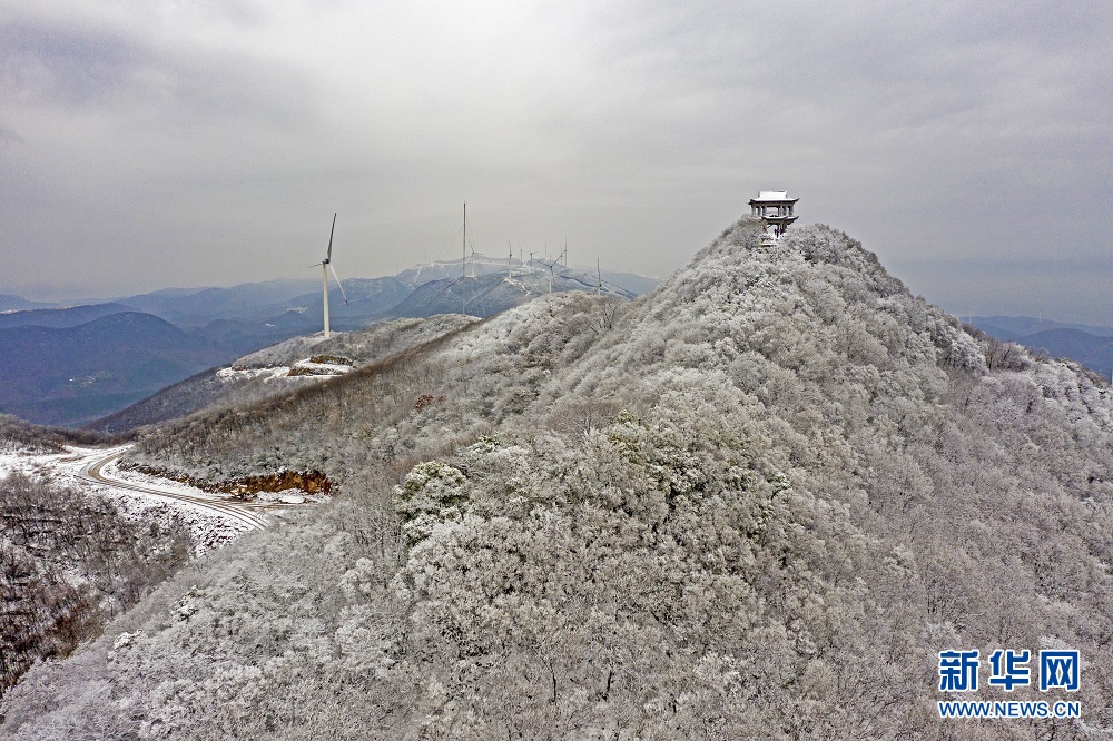 雪落聖境山 白雪雕花的冬日盛景