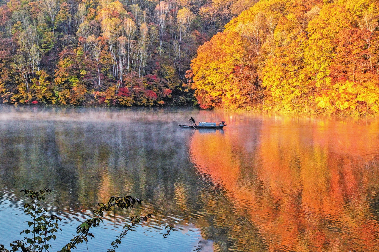 白山市：逐秋賞紅慶豐收