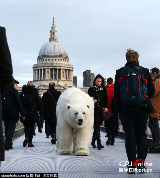 倫敦街頭驚現北極熊 坐電梯逛景點為宣傳英劇