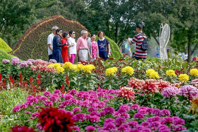 9月15日　火曜日_fororder_菊文化节1