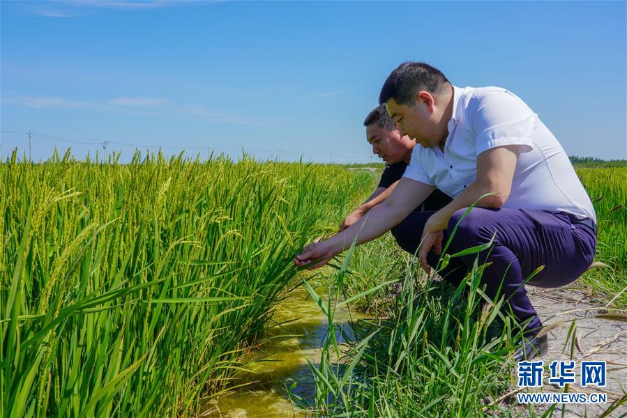 “河湖连通”连通小康生活——吉林西部生态治理见闻