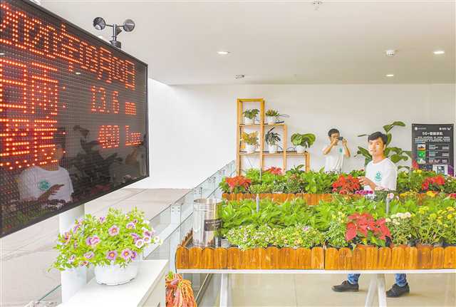 【城市远洋】重庆：5G赋能智慧农业