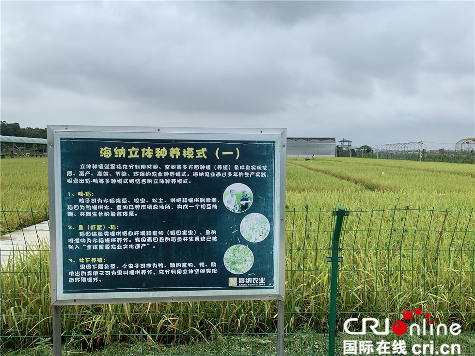 פארק התעשייה החקלאי המודרני מוביל להתחדשות בכפרים בגואנגדונג
