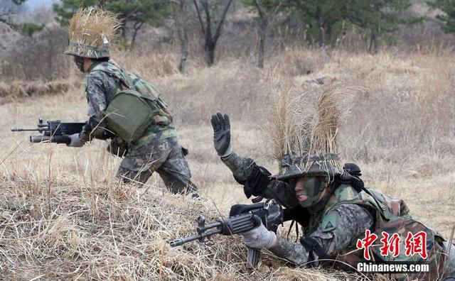 各国士兵让人捧腹的奇葩伪装术