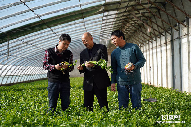 走出深山“初心路”——河北迁西探索主题教育长效机制纪实