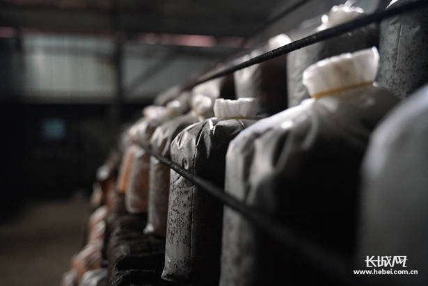 走出深山“初心路”——河北迁西探索主题教育长效机制纪实