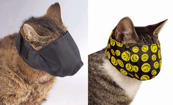 日本公司設計貓咪眼罩 讓貓在看病時保持安靜