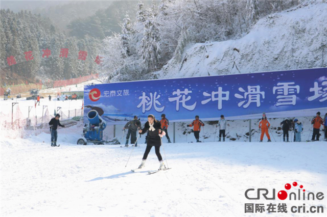 【湖北】【CRI原創】黃岡英山縣桃花衝滑雪場迎來冬季遊客高峰期