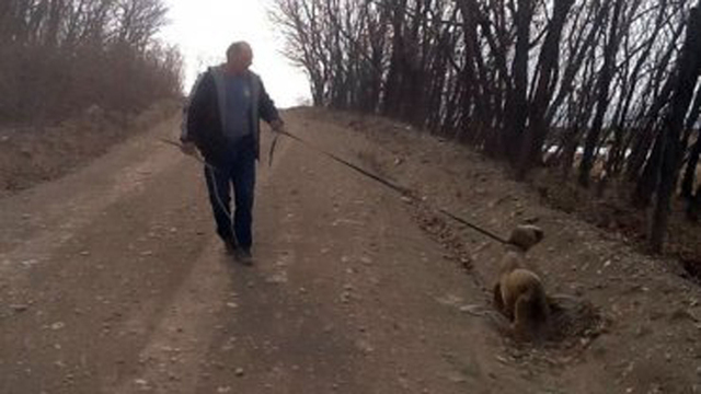 小海獅在森林中迷路 幸遇路人解救