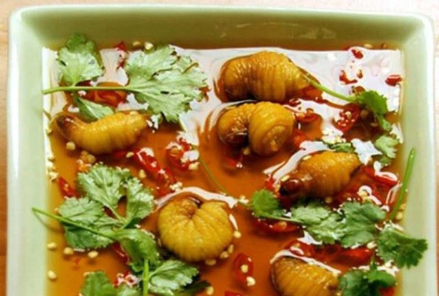 恶心还是美味？十道越南名菜挑战味蕾极限