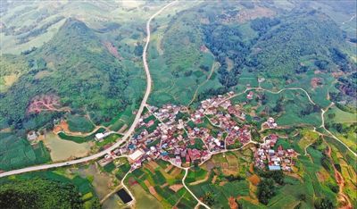 助力产业发展 带动群众致富