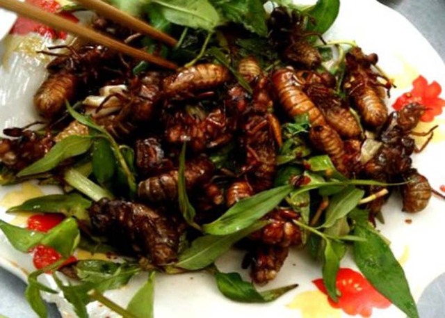 恶心还是美味？十道越南名菜挑战味蕾极限