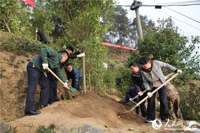 三峽庫區湖北秭歸千名幹群庫岸揮揪披綠