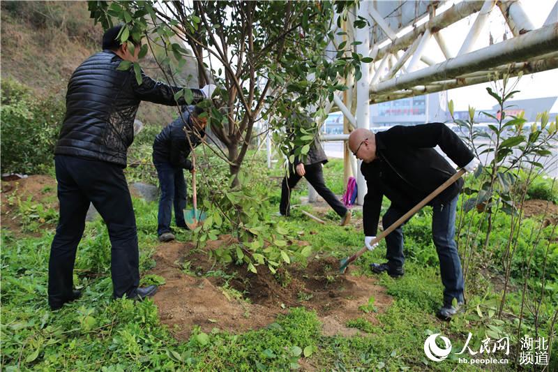 三峽庫區湖北秭歸千名幹群庫岸揮揪披綠