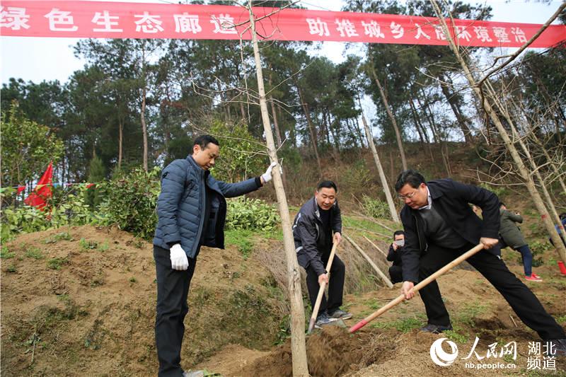 三峽庫區湖北秭歸千名幹群庫岸揮揪披綠