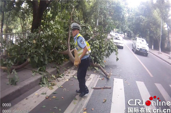 已过审【法制安全】树枝横倒路中 民警及时清除消除安全隐患