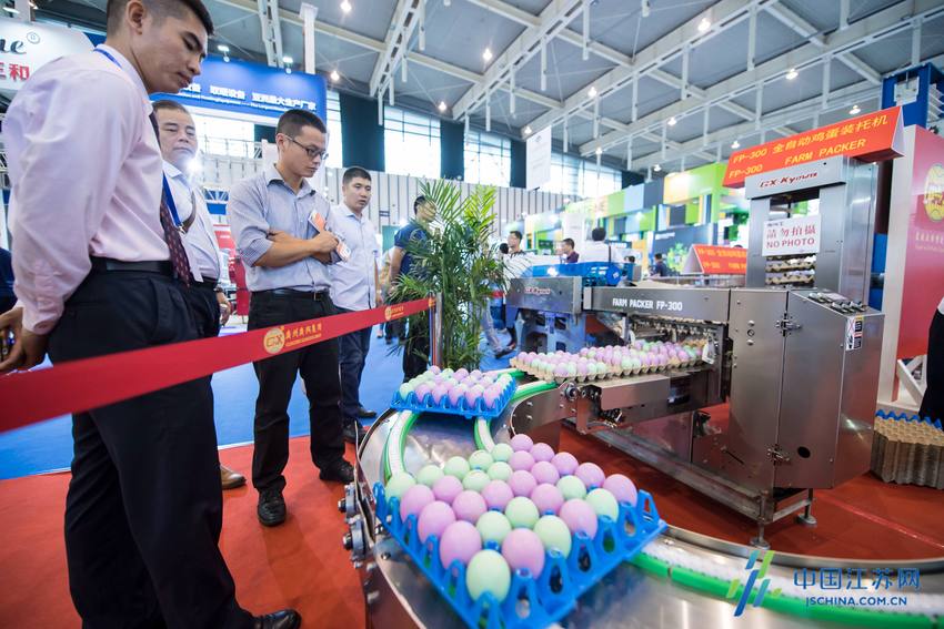 图片默认标题 图片默认标题_fororder_6