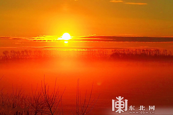 太平沟国家级自然保护区现“红装素裹”冬日美景