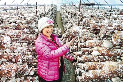 图片默认标题_fororder_微信图片_20190312151639