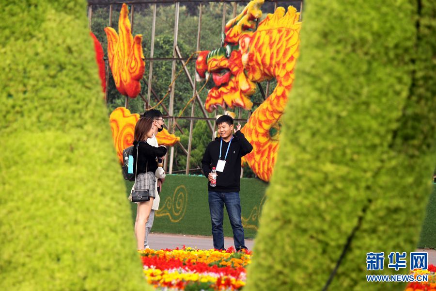 【专题】云上2020年中原花木交易博览会在河南鄢陵开幕
