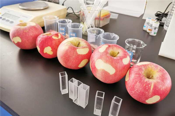 【加急】品質安全“碼”上知 陜西洛川用高標準檢測做強優質蘋果品牌