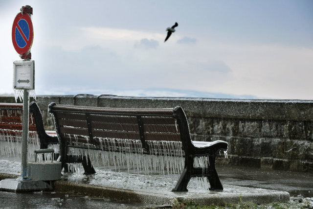 瑞士日内瓦遭"鬼天气" 岸边瞬间结冰