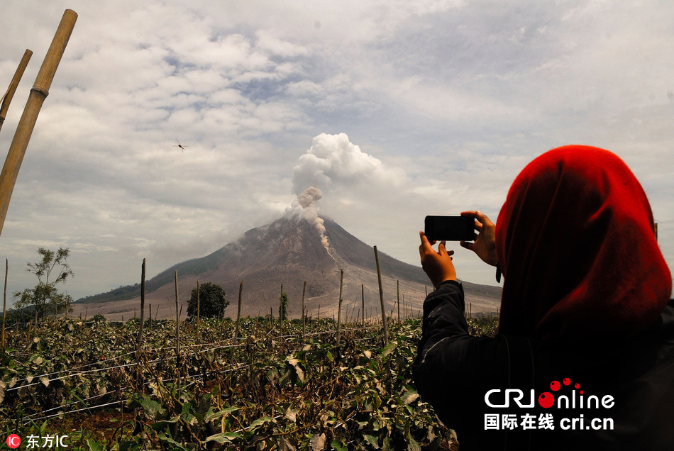 图片默认标题_fororder_20170809_63201