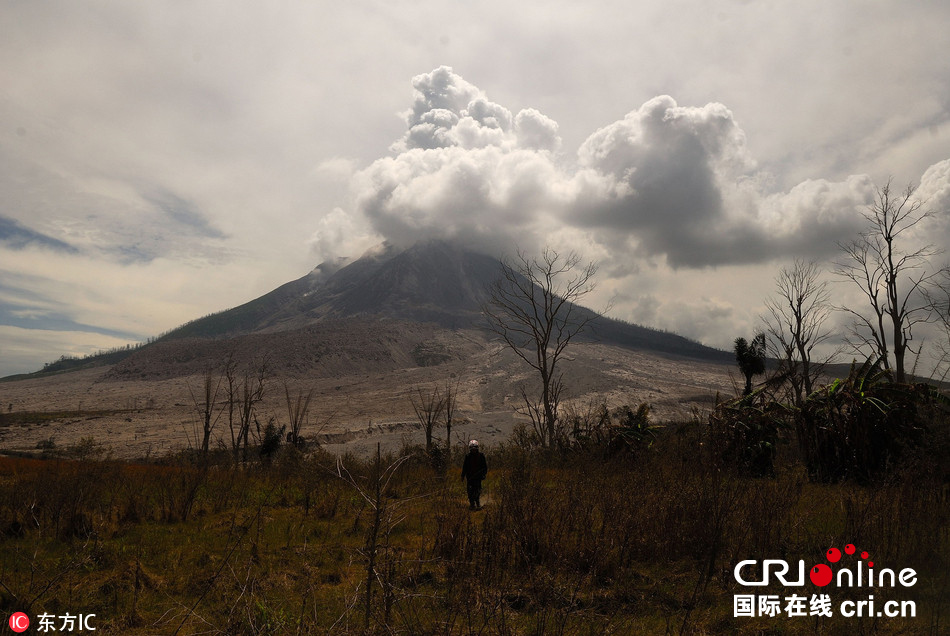 图片默认标题_fororder_20170809_63240