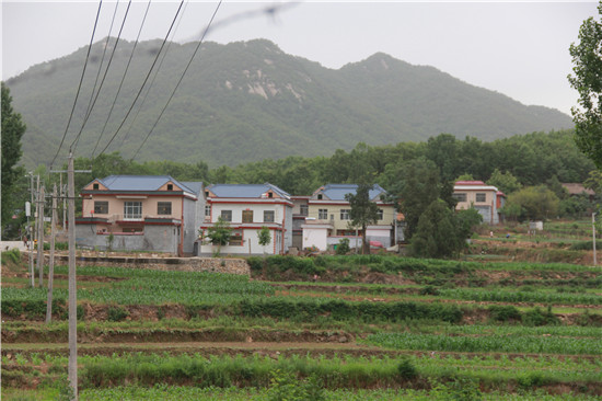 【B】平頂山市魯山縣張溝村：靠山吃山“不挖山”  山民生活比蜜甜