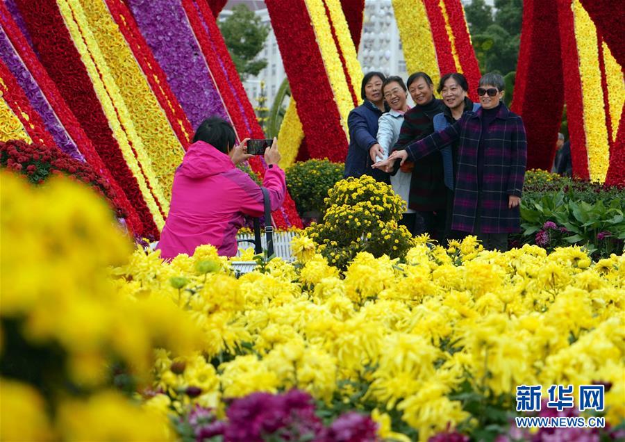 江西南昌：菊花绽放迎客来