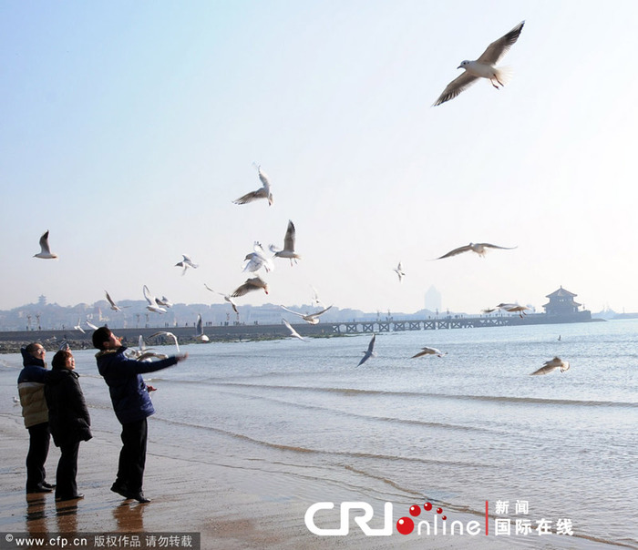 图片默认标题_fororder_qingd-5